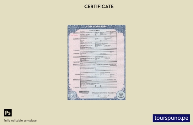 Plantilla de certificado de defunción de Luisiana de EE. UU. lista para imprimir